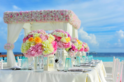 Flowers and Good Meanings for a Fresh Start in the New Year