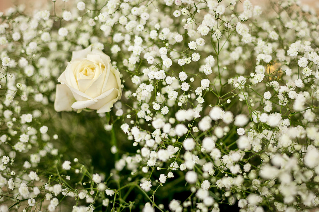BEAUTY CASE - HELLO BEAUTY - FLOWERS DESCRIPTION: the dream of each.