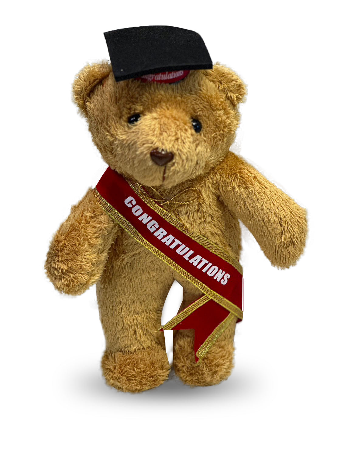 Congratulations shop teddy bear