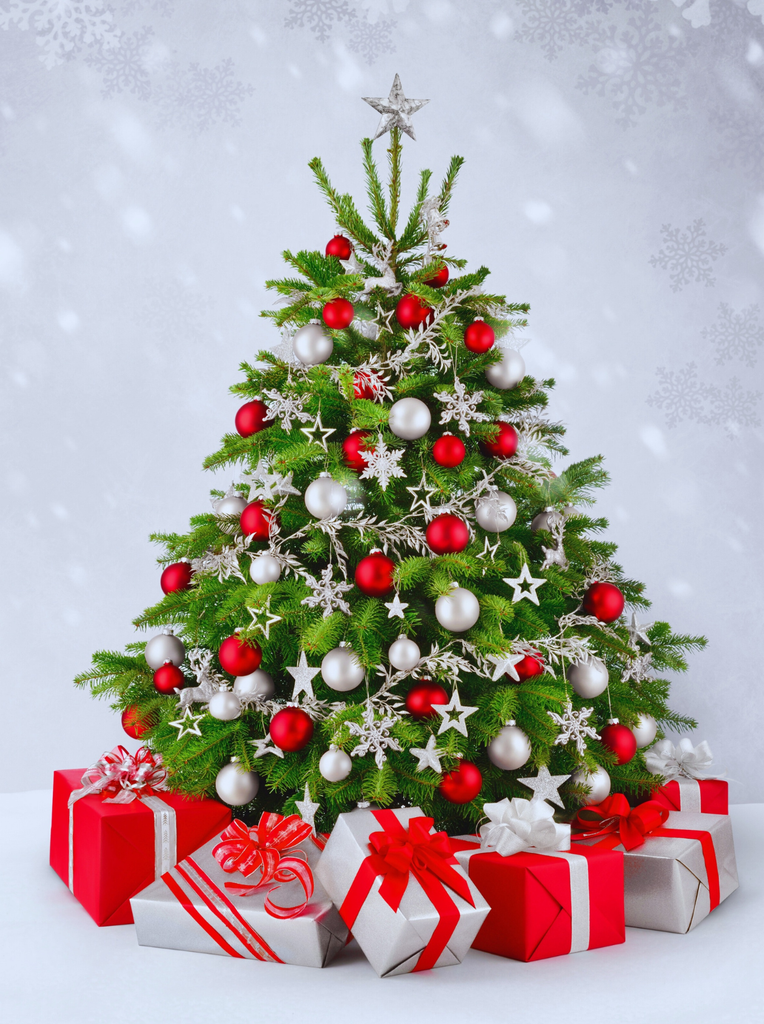 Festive Floral Ideas to Decorate Your Home for Christmas