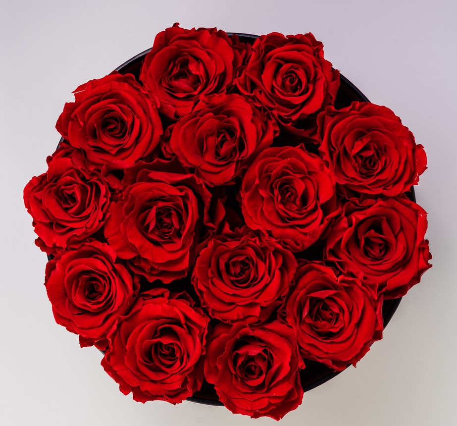Why are Red Roses Popular on Valentine’s Day?