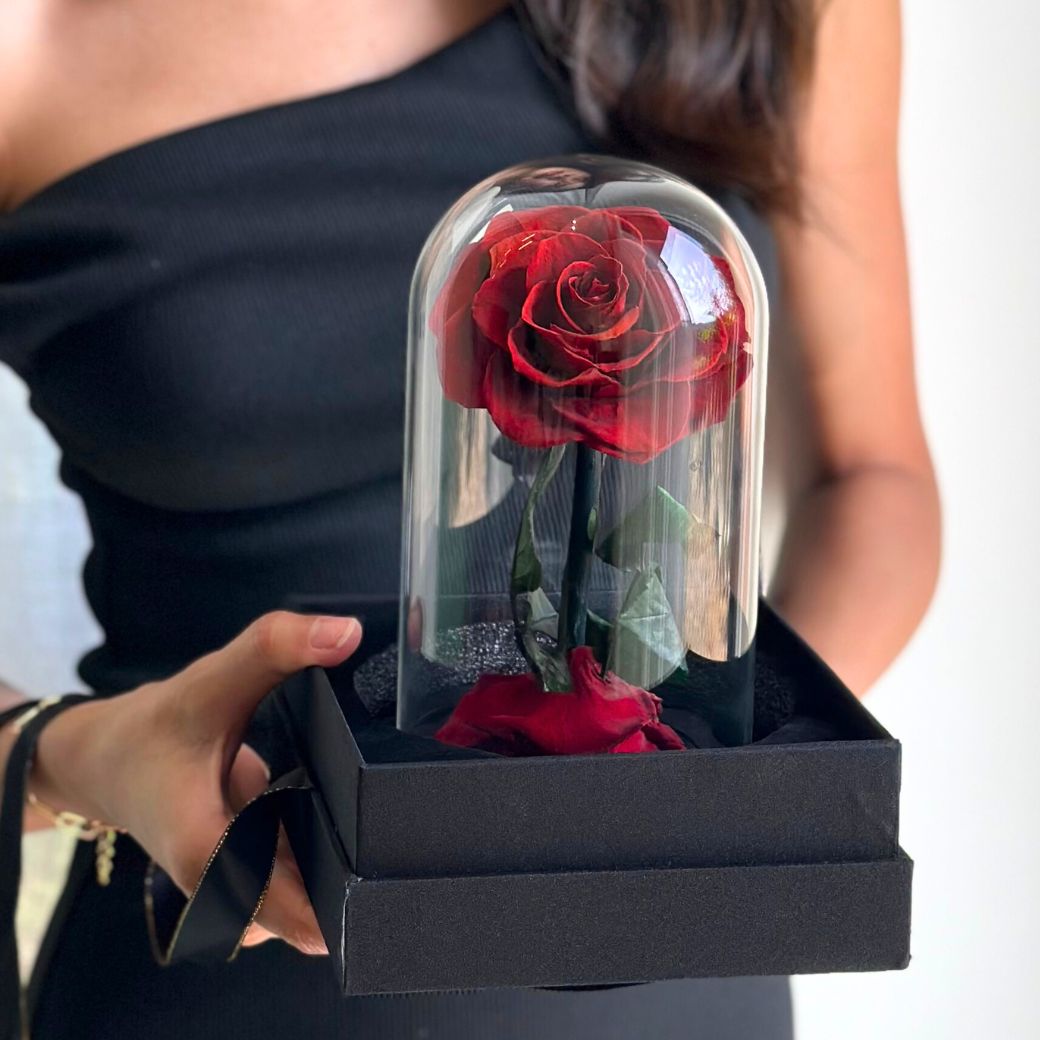 "Forever Love" Red Preserved Rose (H 22cm x W 15cm) รักนิรันดร์ - Valentine's Collection